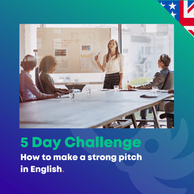 5 Day Challenge pitch english
