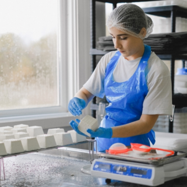 WEB Grants alimento food industry WEB Grants alimento food industry